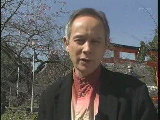 Japanology 25th : Sakura(Cherry Blossom) #2