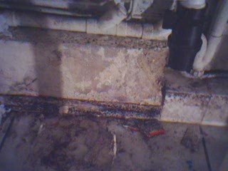 Les marchands de sommeil qui se croivent au dessus des lois