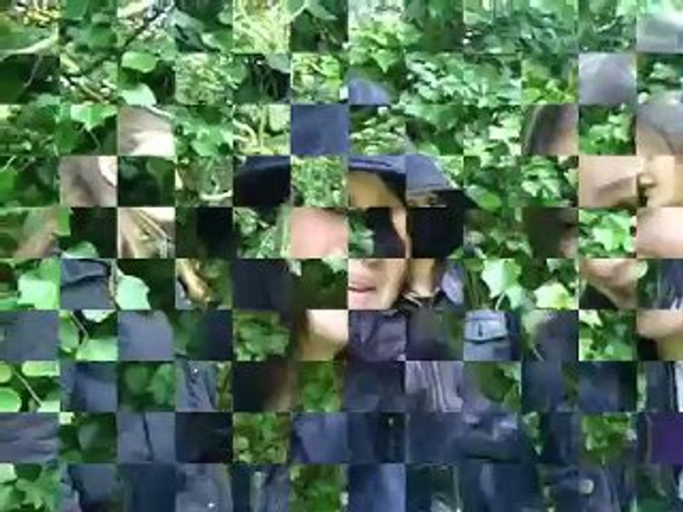 Delires , art plastiques