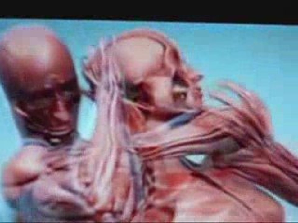 Sport Science  Fedor vs Python Part - 1