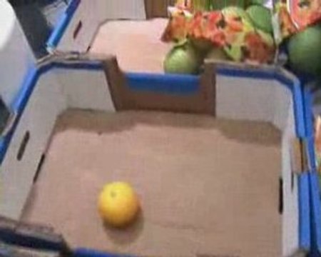 Operation Boycott Israël a Carrefour Drancy