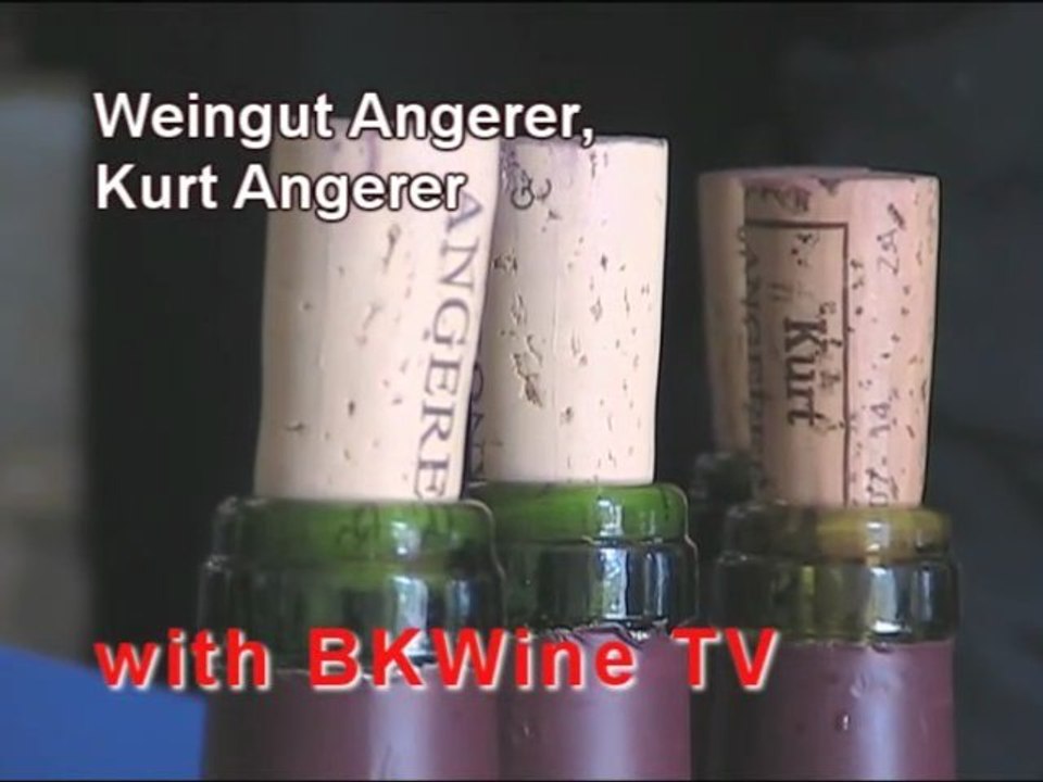 [E] Kurt Angerer, Austria, winemaker interview