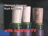 [E] Kurt Angerer, Austria, winemaker interview