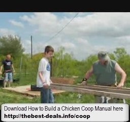 Chicken Housing - How to Build a Chicken Coop