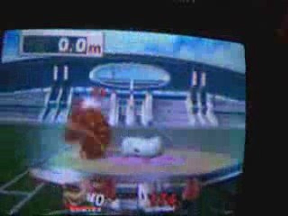 SSBB HRC Bowser 763.3 M