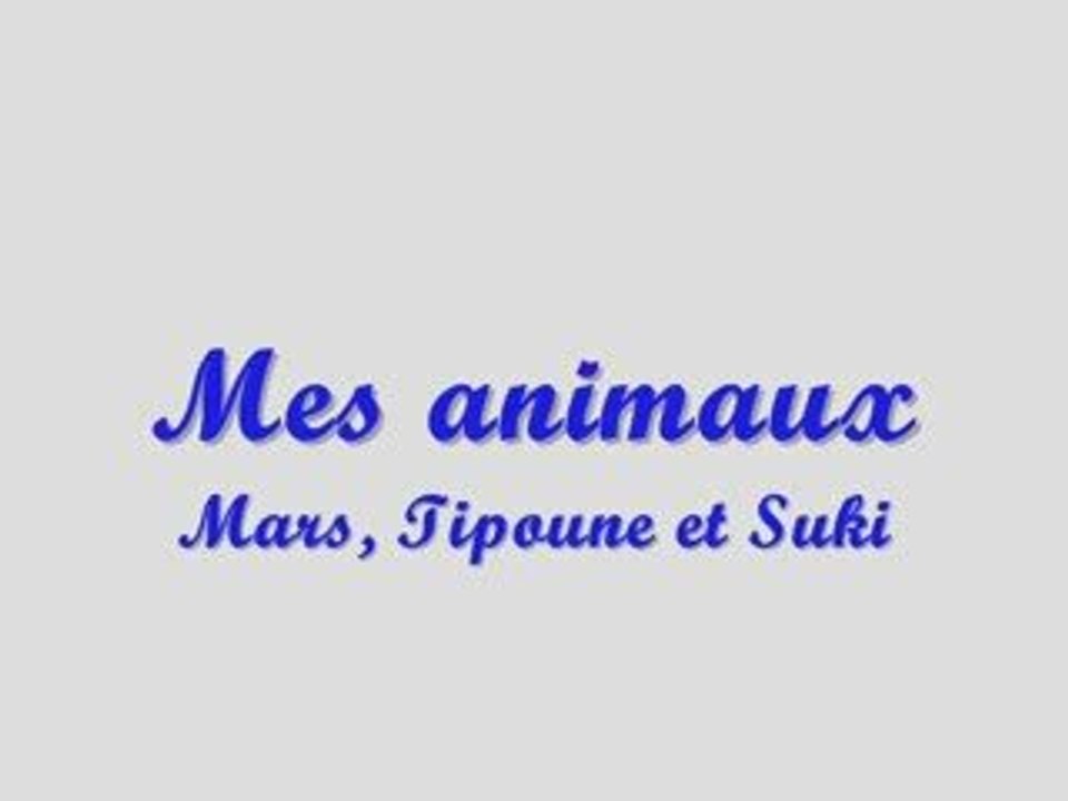 Mes animaux