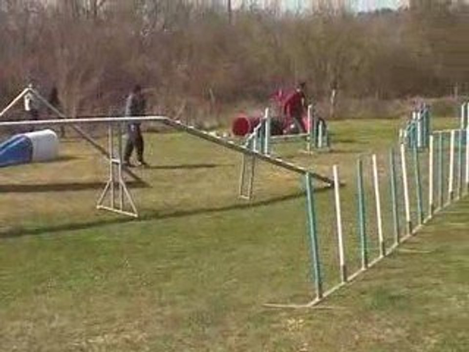 Blueberry Degre Agility Millery 22/03/2009