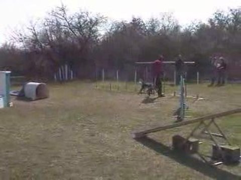 Blueberry GPF Agility Millery 22/03/2009