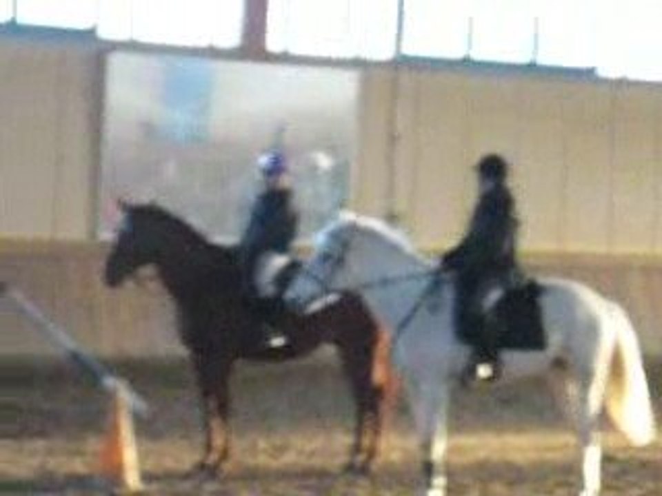 Photo julie cheval 127