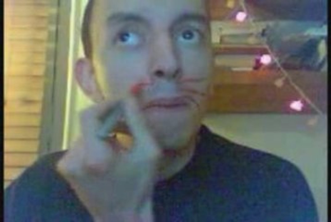 LE tao du chat