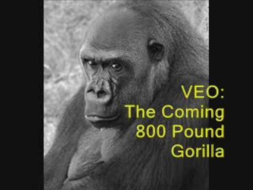 VEO | Video Engine Optimization Gone Wild