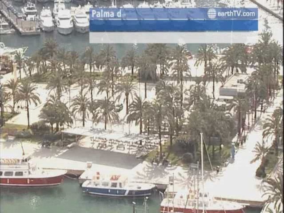 Warnemunde - Germany, Hamburg - Germany, Washington - USA, Vienna - Austria, Sydney - Australia, Palma de Mallorca - Spain, Seattle - USA