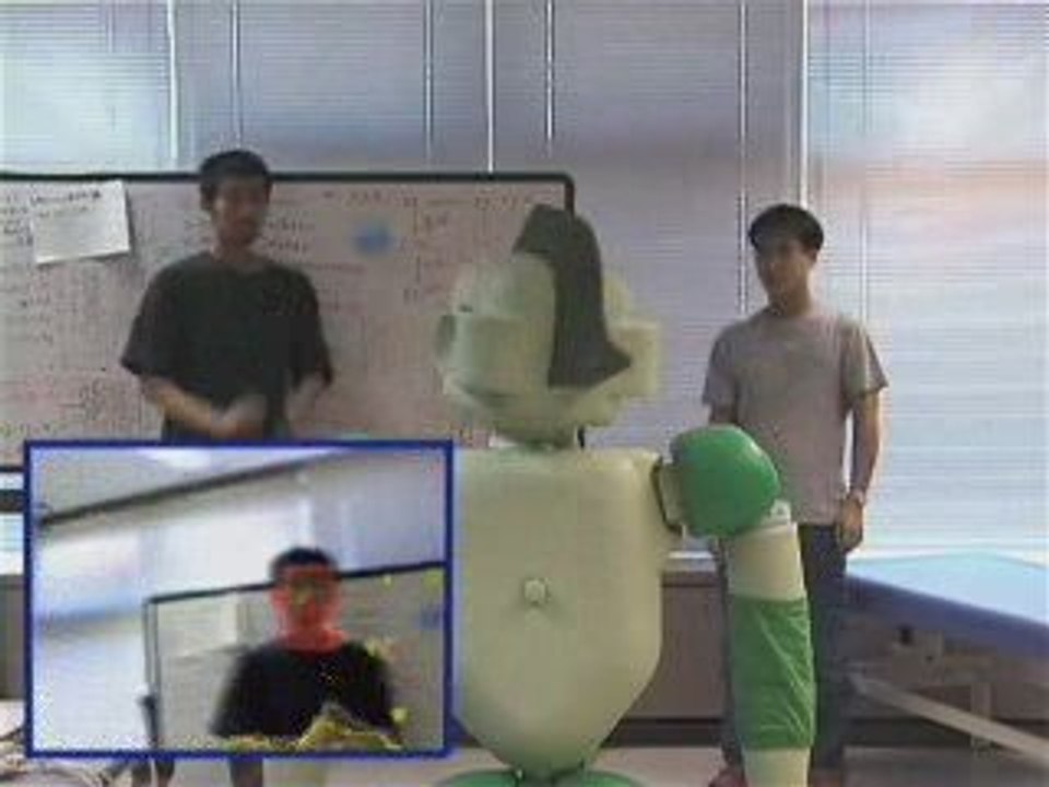 Nursing Care Robots [en]