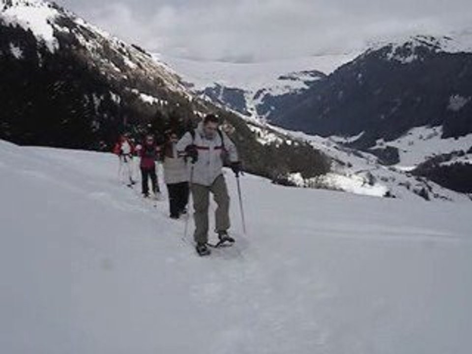 Promenade en raquettes