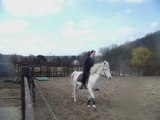 Siboulette Travail au galop