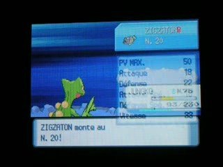 Zigzaton shiney évolue en Lineon shiney
