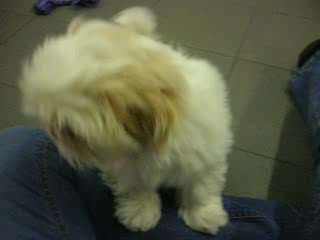 Paco Le 28 mars 2009