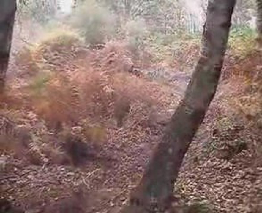 Clip CSA enduro motocross ktm alat csa