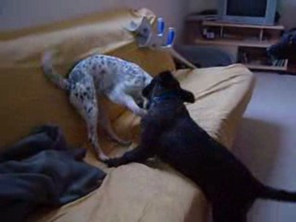 Enfer Vs chipie