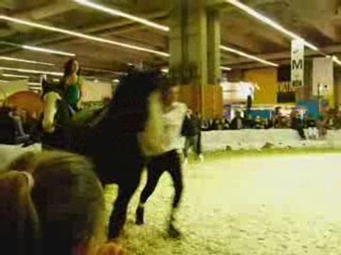 Demo Salon du Cheval Paris 2008