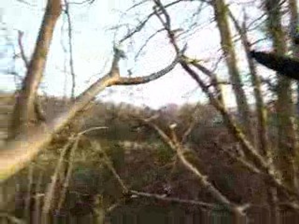 Descente de Betty ^^