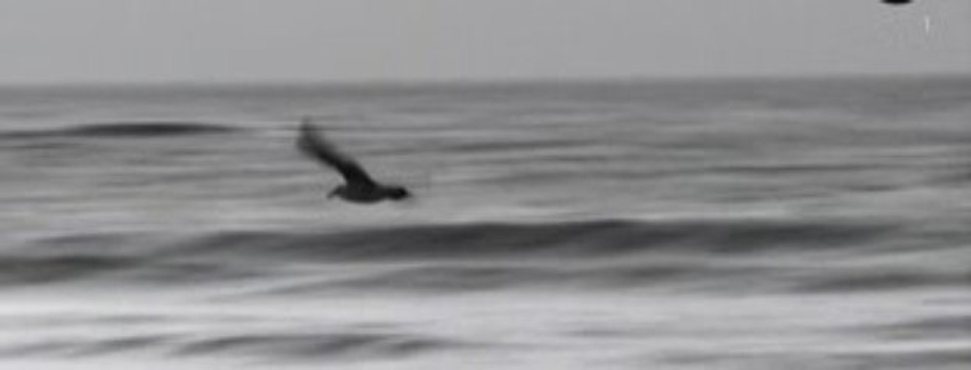 John Dahlback Feat Basto - Out there [2009]