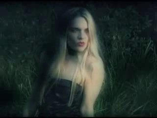 autumn's grey solace.the moon nocturnal