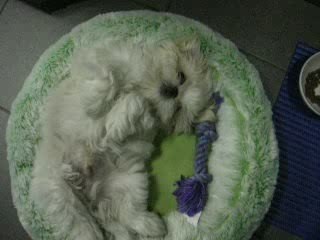 Paco Le 28 mars 2009