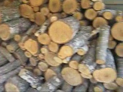 Disaster preparedness plans