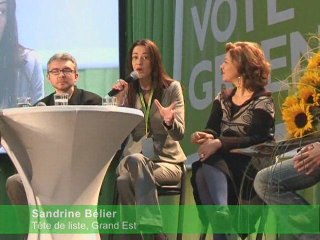 Congrès du Parti Vert Européen, Bruxelles