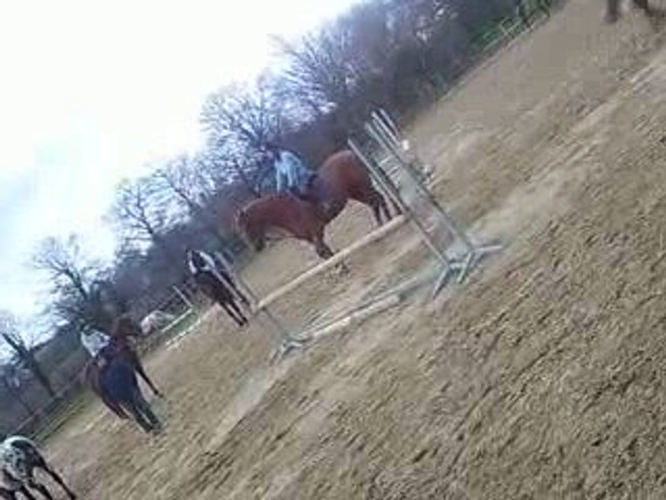 Cous de saut d'obstacles