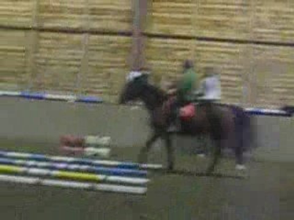 Moi centre équestre 2