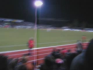 FCN - Hoffenheim 1:2 27.03.09