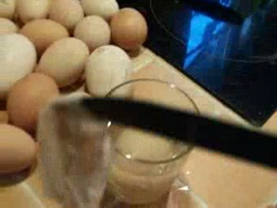 oeuf bizzard !!!