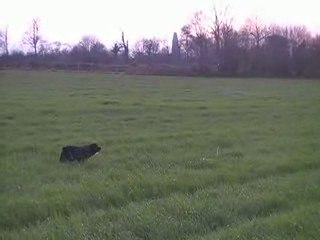 Drakkar  Arrêt sur Pigeon