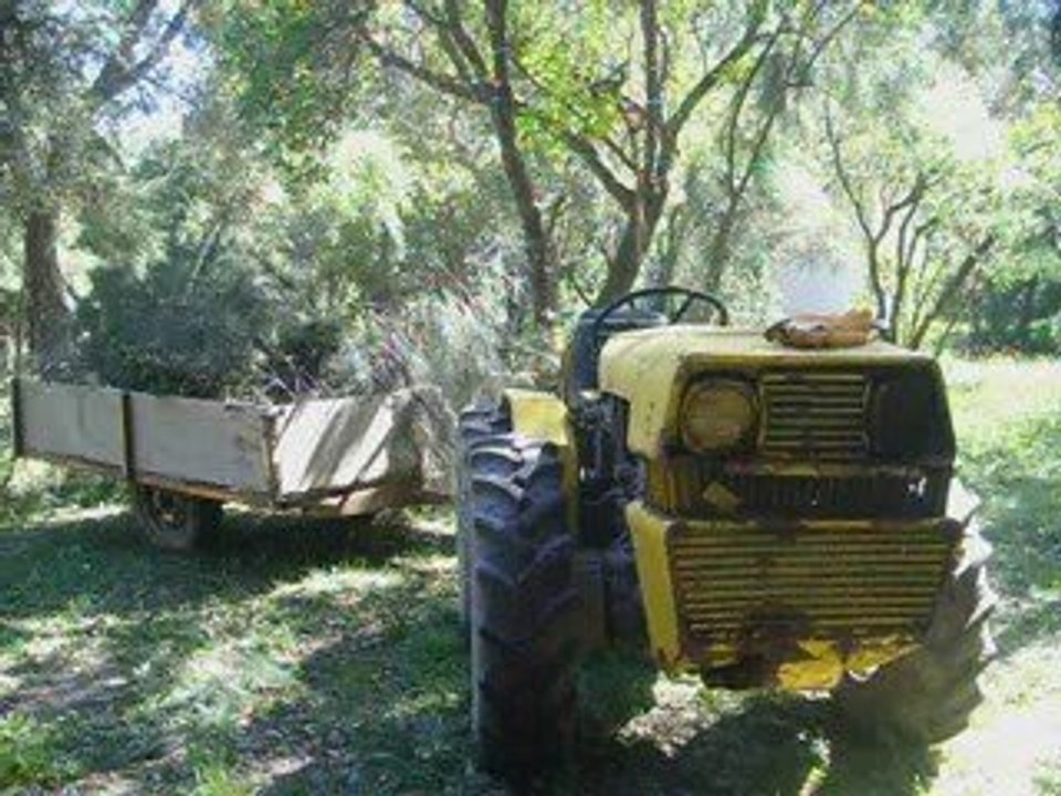 Tracteur plantation