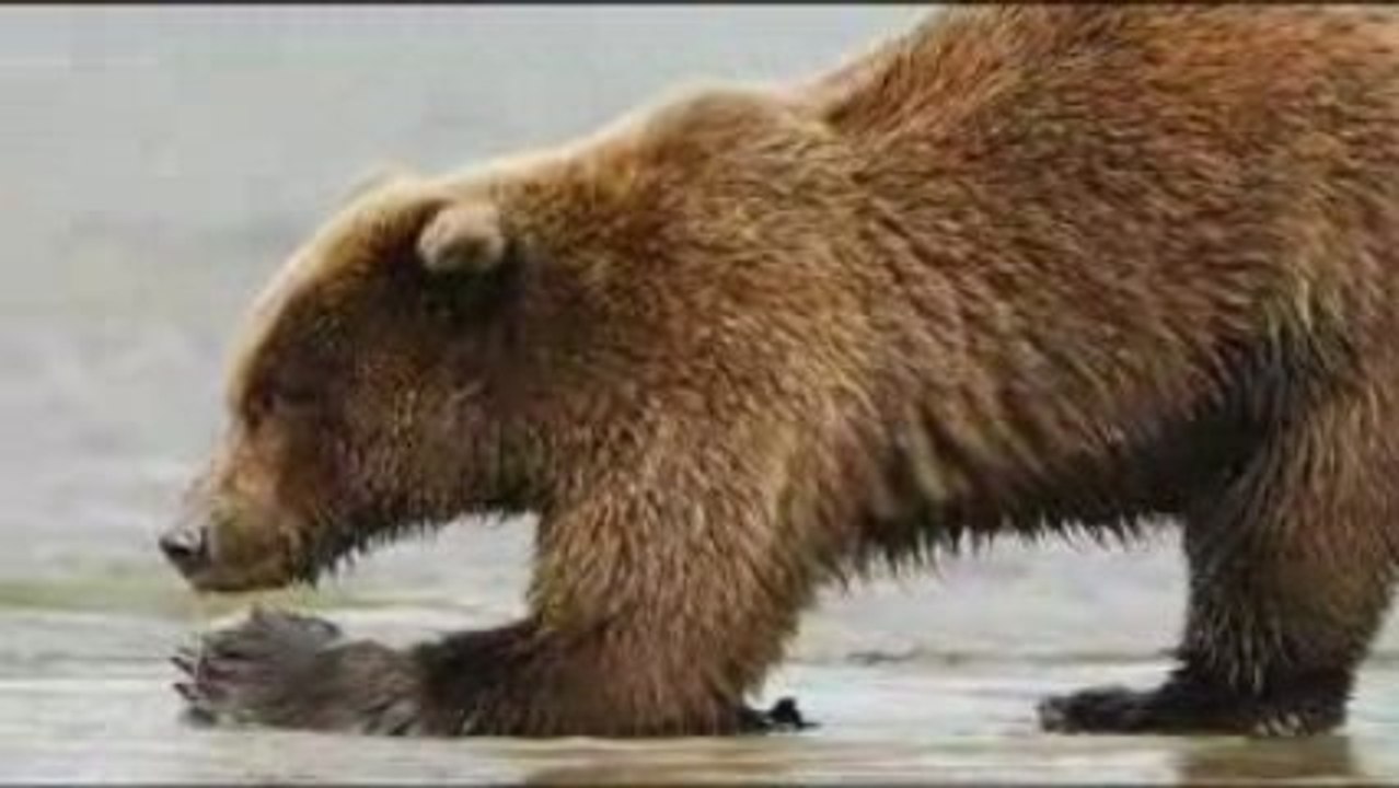 stand up in a clear blue morning