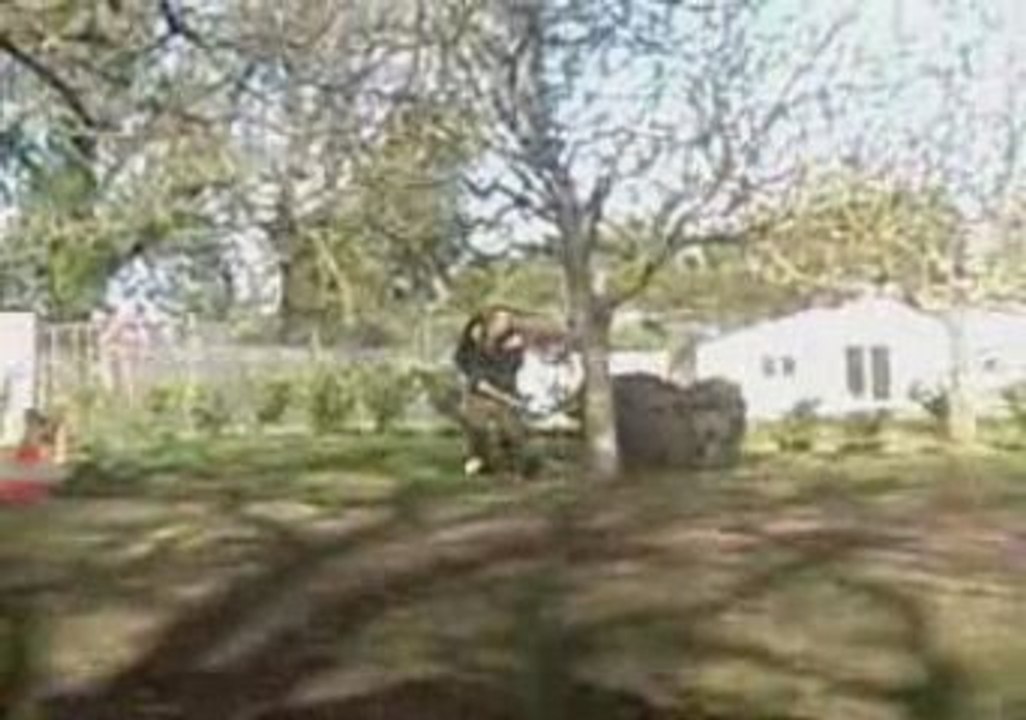 Montage dressage paradis d'orsy