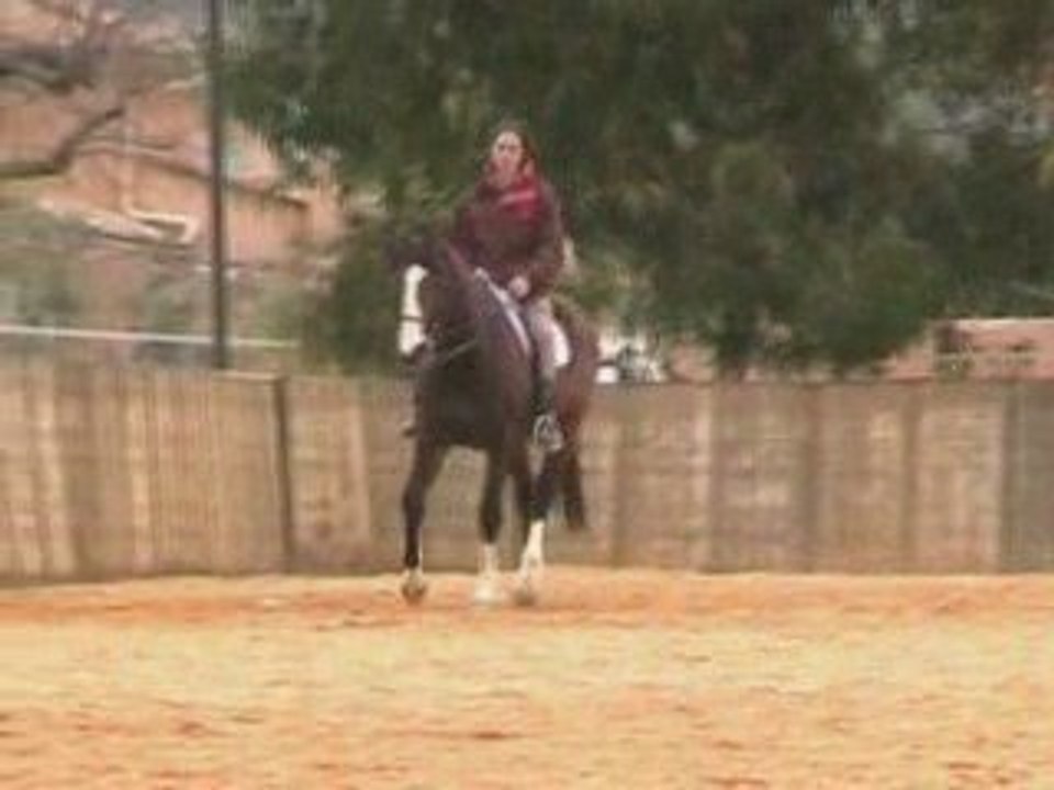 Dressage 28 mars 2009