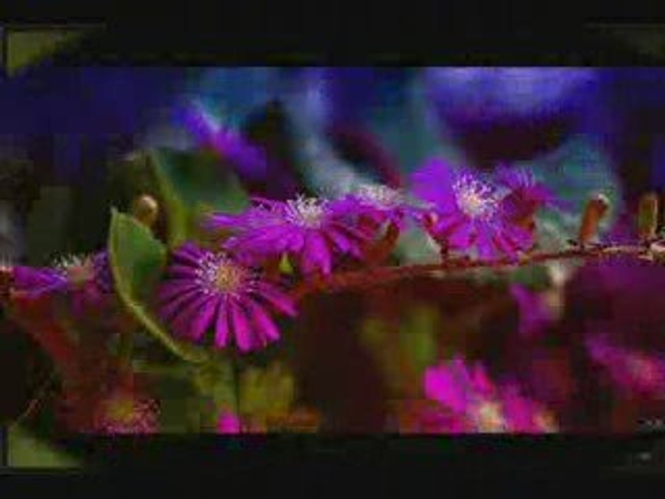 Komm mit mit mir in die Natur