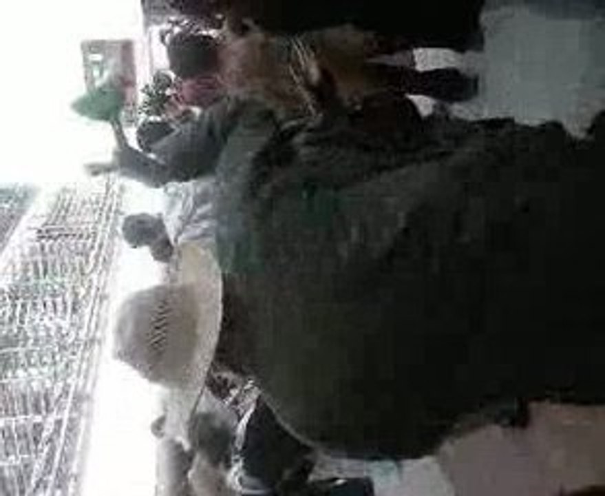Tektonik paysan