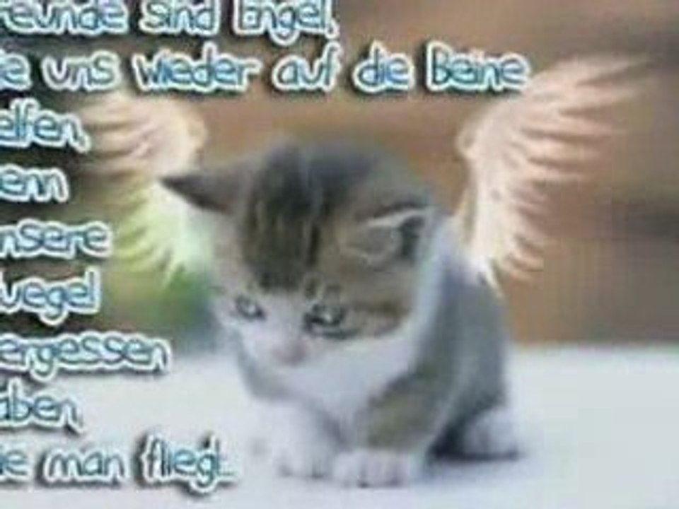 Fuer einen meiner wertvollsten Freunde