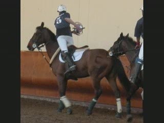 Quentin & Isar in Saumur