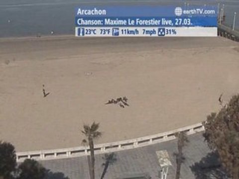 Palma de Mallorca - Spain, Vienna - Austria, New York - USA, Dubai - United Arab Emirates, Arcachon - France, Hamburg - Germany, Warnemunde - Germany