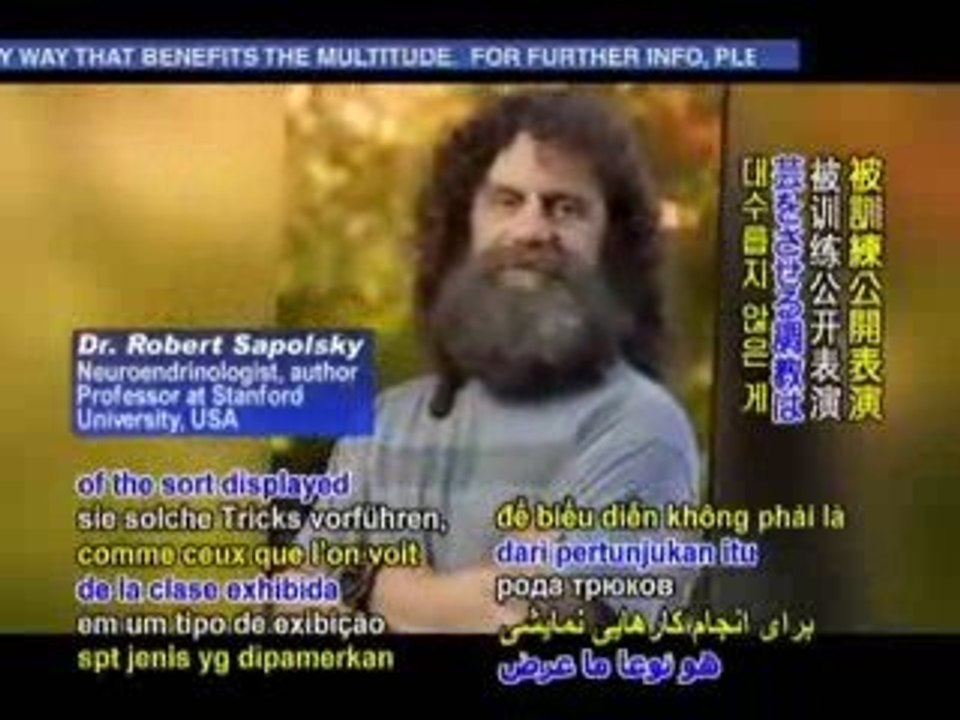 cruelty behind the circus  4