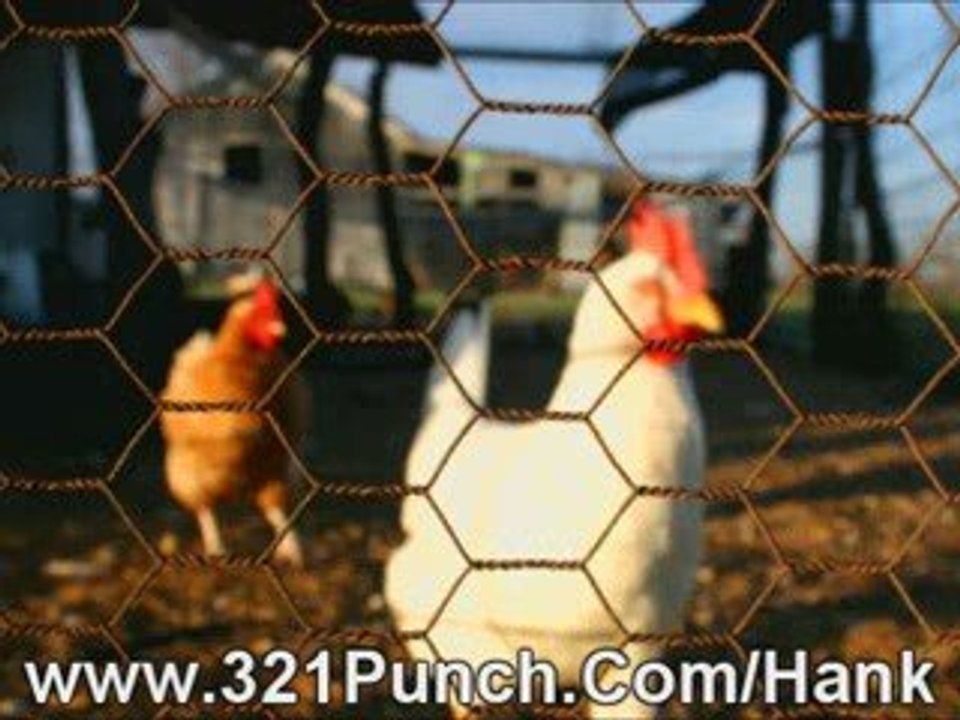 Video Marketing- Marketing Your Business Online Using Video