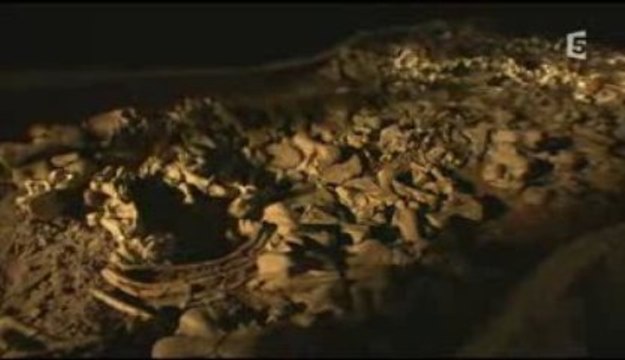 Planète terre (1/3) la naissance des mammifères