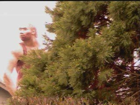 Family / The Caveman / Grants Pass, Oregon / Dennis Pellicci