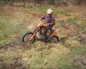 Sortie 28 03 2009 STEIBY