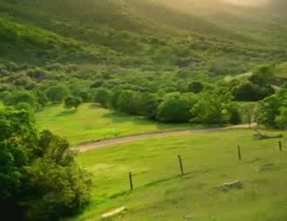pub drole de voiture